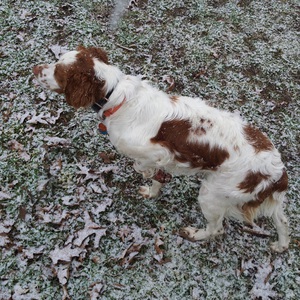 Fundraising Page: Brian Rhoads